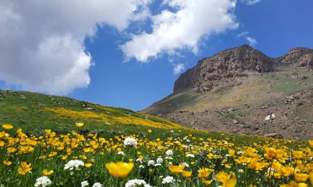 ثبت کوه بغروبند تالش در فهرست میراث طبیعی کشور
