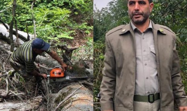 غافلگیری قاچاقچی سابقه دار قطع چوب توسط رییس اداره محیط زیست تالش